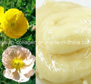 Top Honey, Organic Chinese Herbal Medicine Honey, Rare Wild/Soil, No Antibiotics, No Pesticides, No